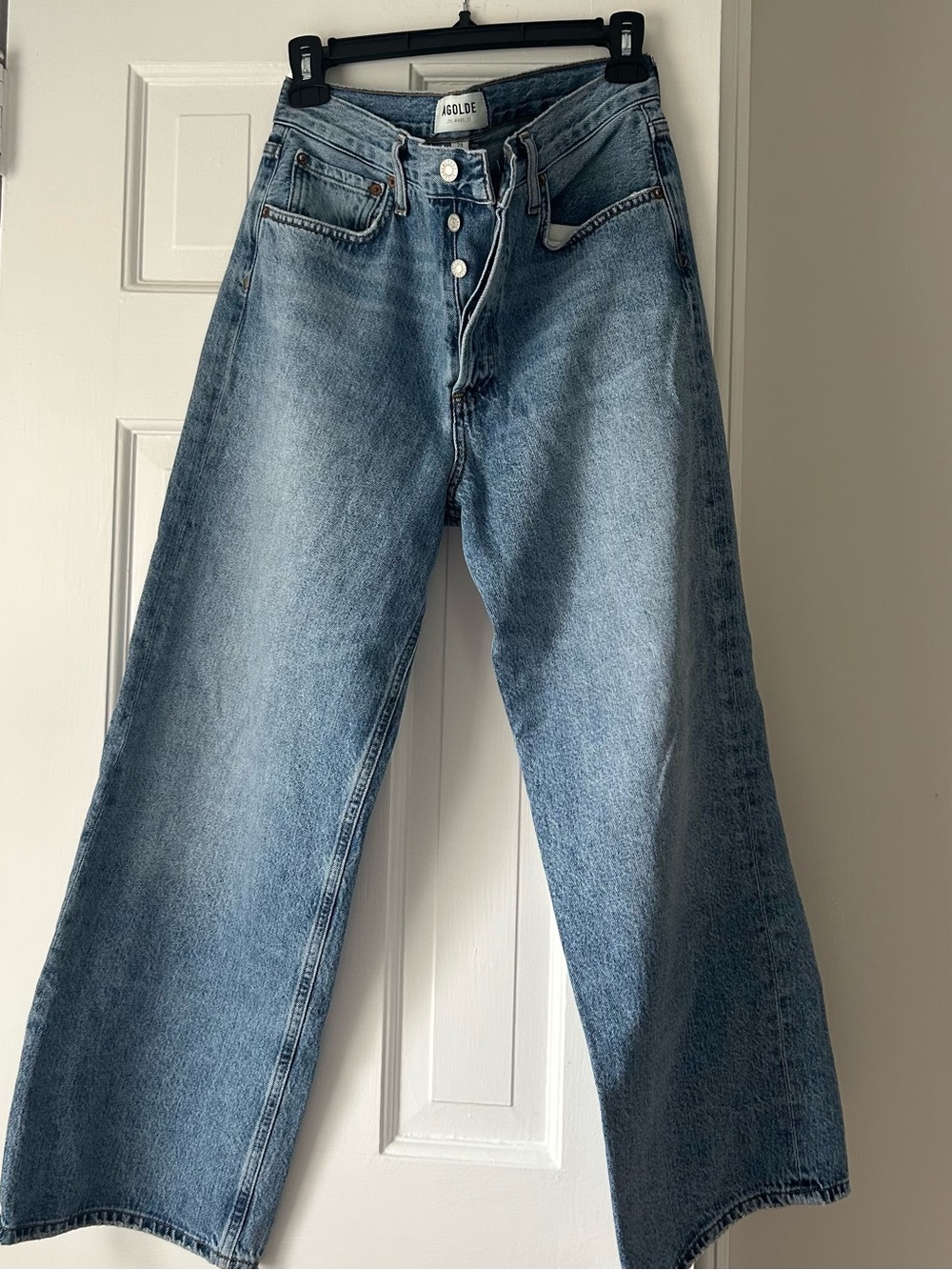 AGOLDE Ren high waisted, wide leg jean. Color disclosure. - Picture 4 of 8